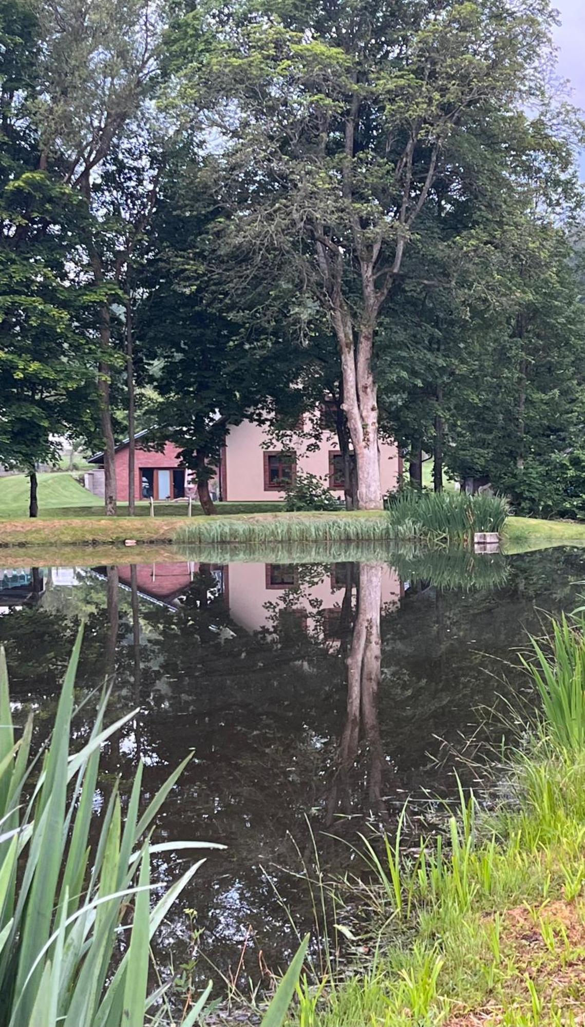 Apartman Pisarovka Lesna  Esterno foto